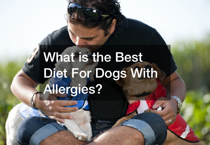 What is the Best Diet For Dogs With Allergies? Funny Pet Videos