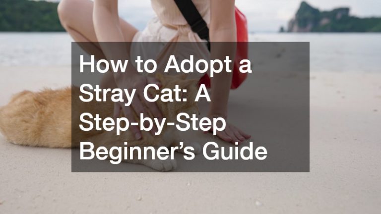a tourist petting a stray cat